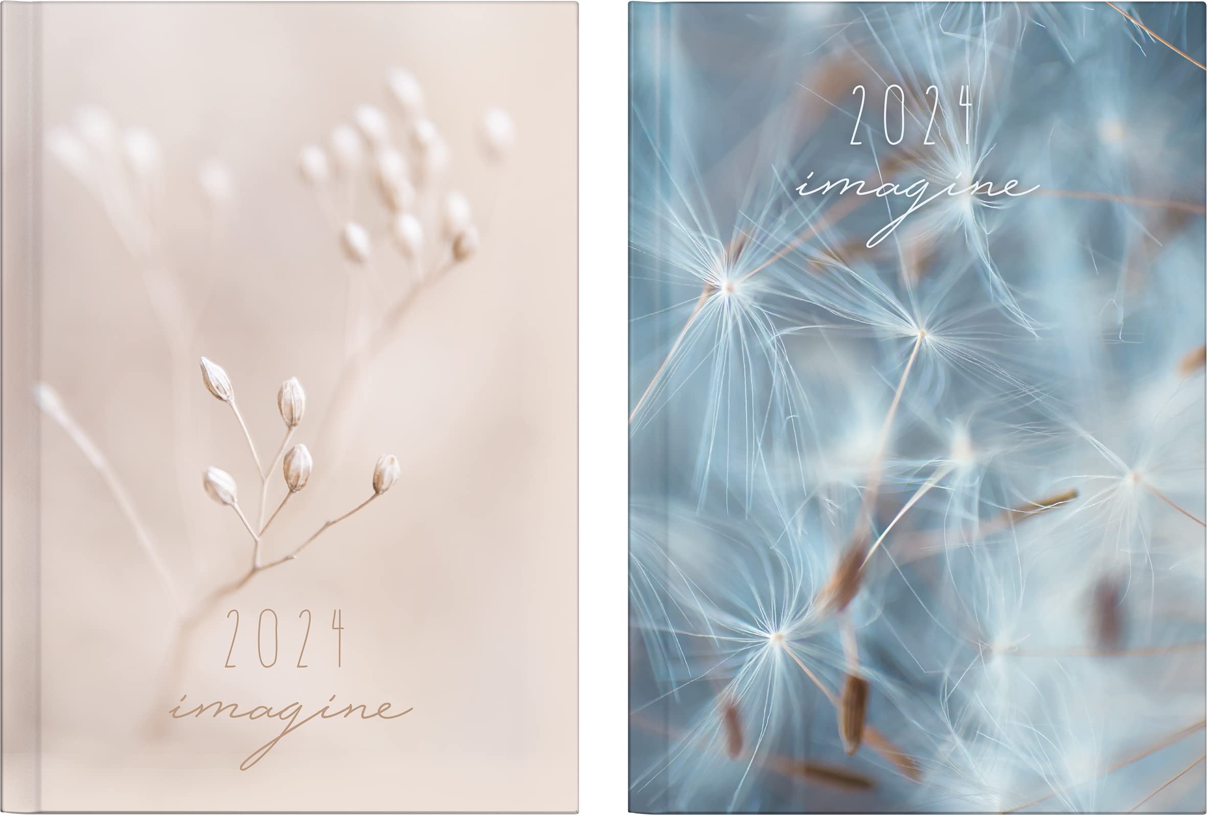 Agenda 1 Página Por Día Agenda Diaria Rido/idé Mentor 2024 - 1 Página Por Día, Tamaño 14.8x20.8 Cm, Azul Agenda Rido/idé Mentor 2024