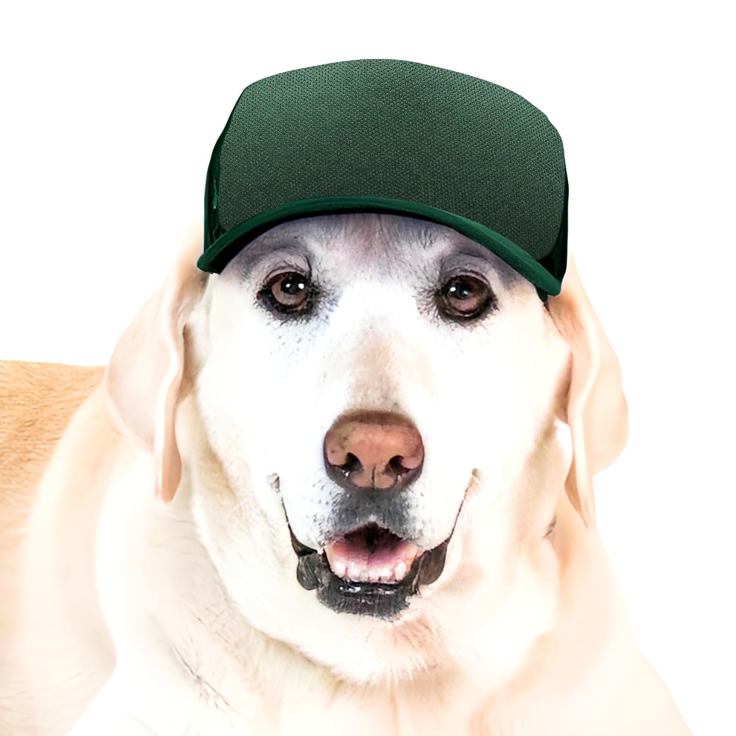 DIY PupLid Trucker Hats (Forest Green, Large) – Customizable Dog Hat, Blank Canvas for Personalized Design, Adjustable, Premium Stylish Sun Protection