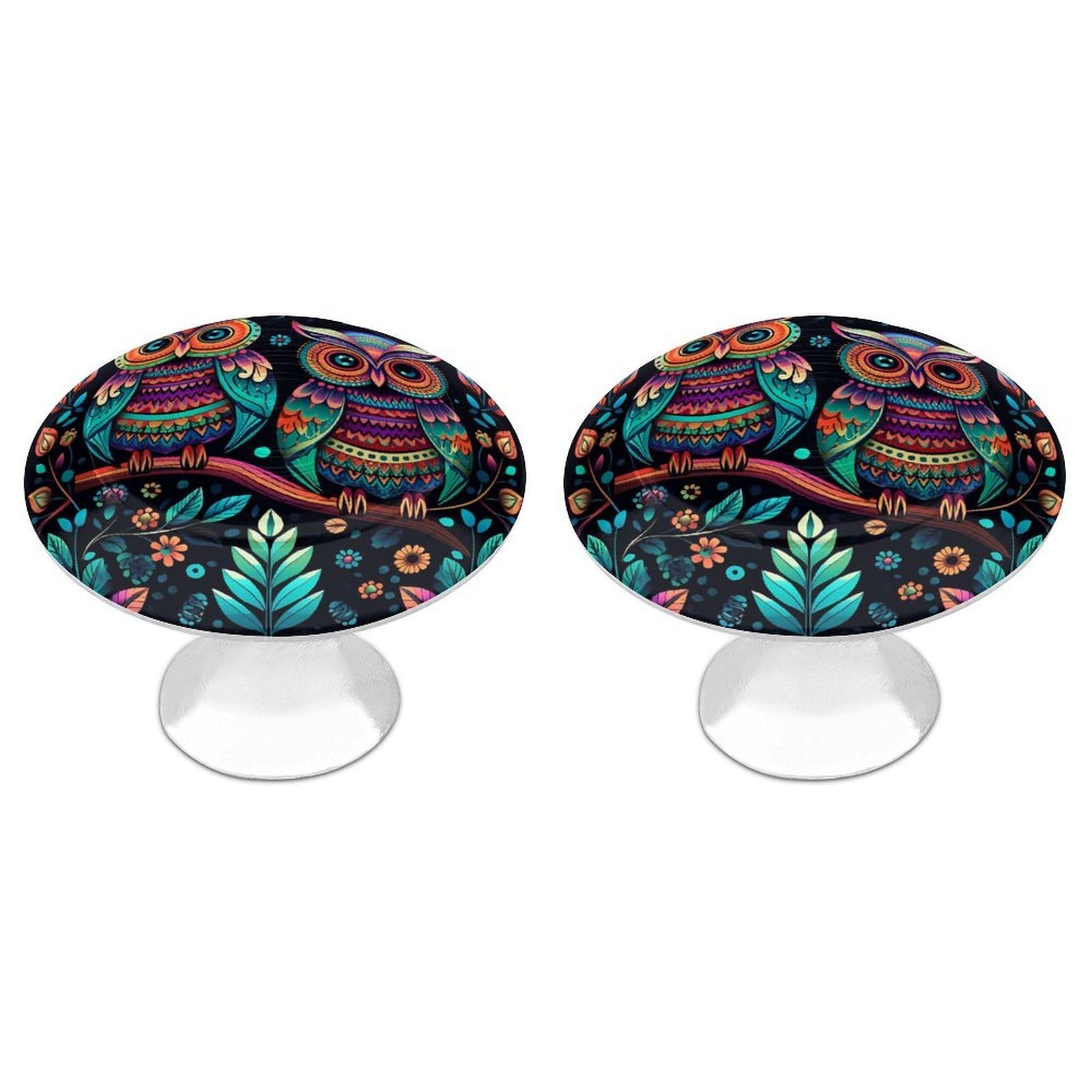 NTVOWPZO Cabinet Handles Round Drawer Pulls Colorful Owl Pictures Dresser Knobs for Cabinets and Drawers Handle for Bathroom Cupboard Drawers Cabinet Pulls for Kitchen Door