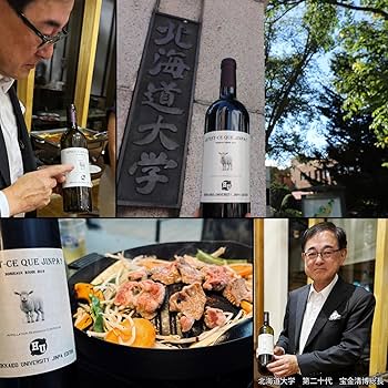 Amazon.co.jp: ケスクジンパ？ ボルドールージュ2019 北海道大学