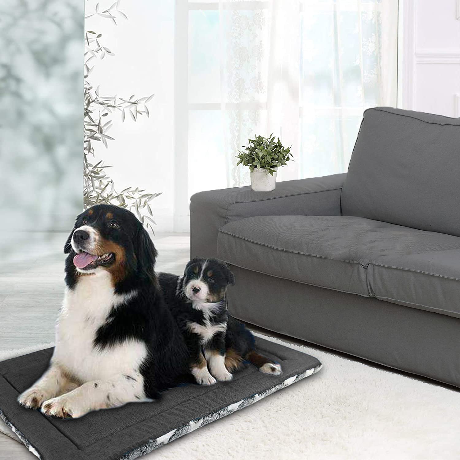 SuperKissen24. Hundematte, Katzenmatte - Reversibel Hundebett für Mittlere Hund - Bett für Hunde und Katze - Katzenbett, Katzenkissen - Flauschig Hundedecke - Waschbar Hundematratze - 80x60 cm Sterne