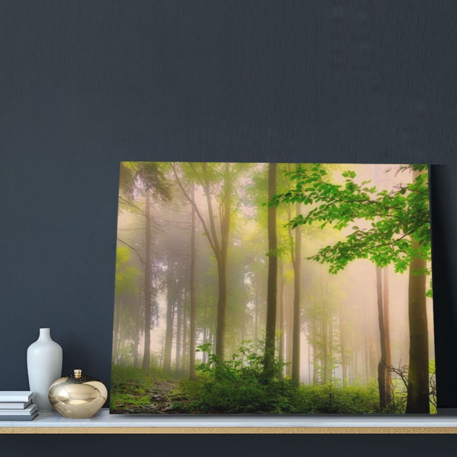 Amazon.co.jp: アートパネル 壁掛け おしゃれ 森 朝の光 自然風景 新緑