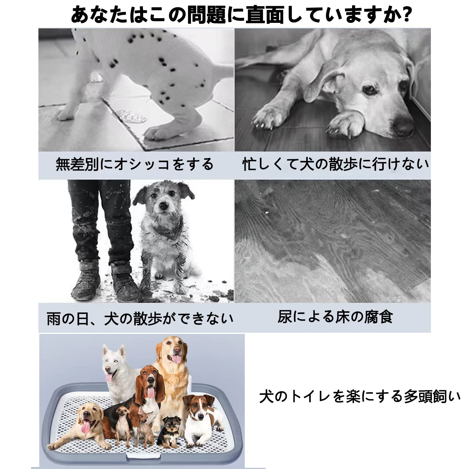 Amazon | HeGeed ペットトイレレイー 犬 トイレトレー 65×50CM 大型犬