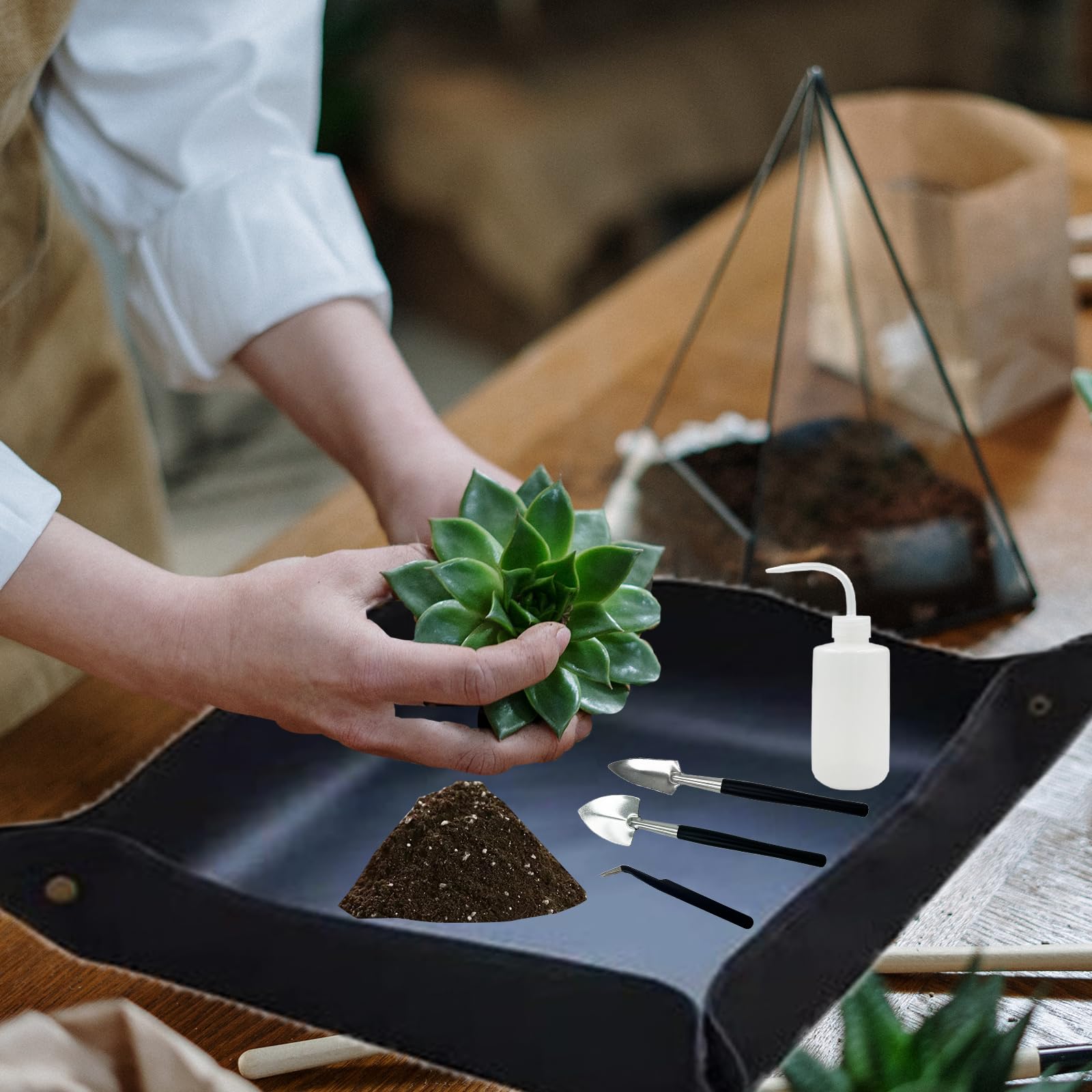 Juego de Herramientas para Bonsái,Herramientas para Plantas Suculentas Set,Mini Herramientas de Jardín para Trasplante,el Cuidado de Plantas en Miniatura