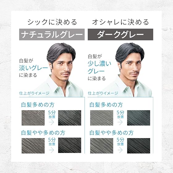 ホーユー ホーユー メンズビゲン グレーヘア ナチュラルグレーの商品画像