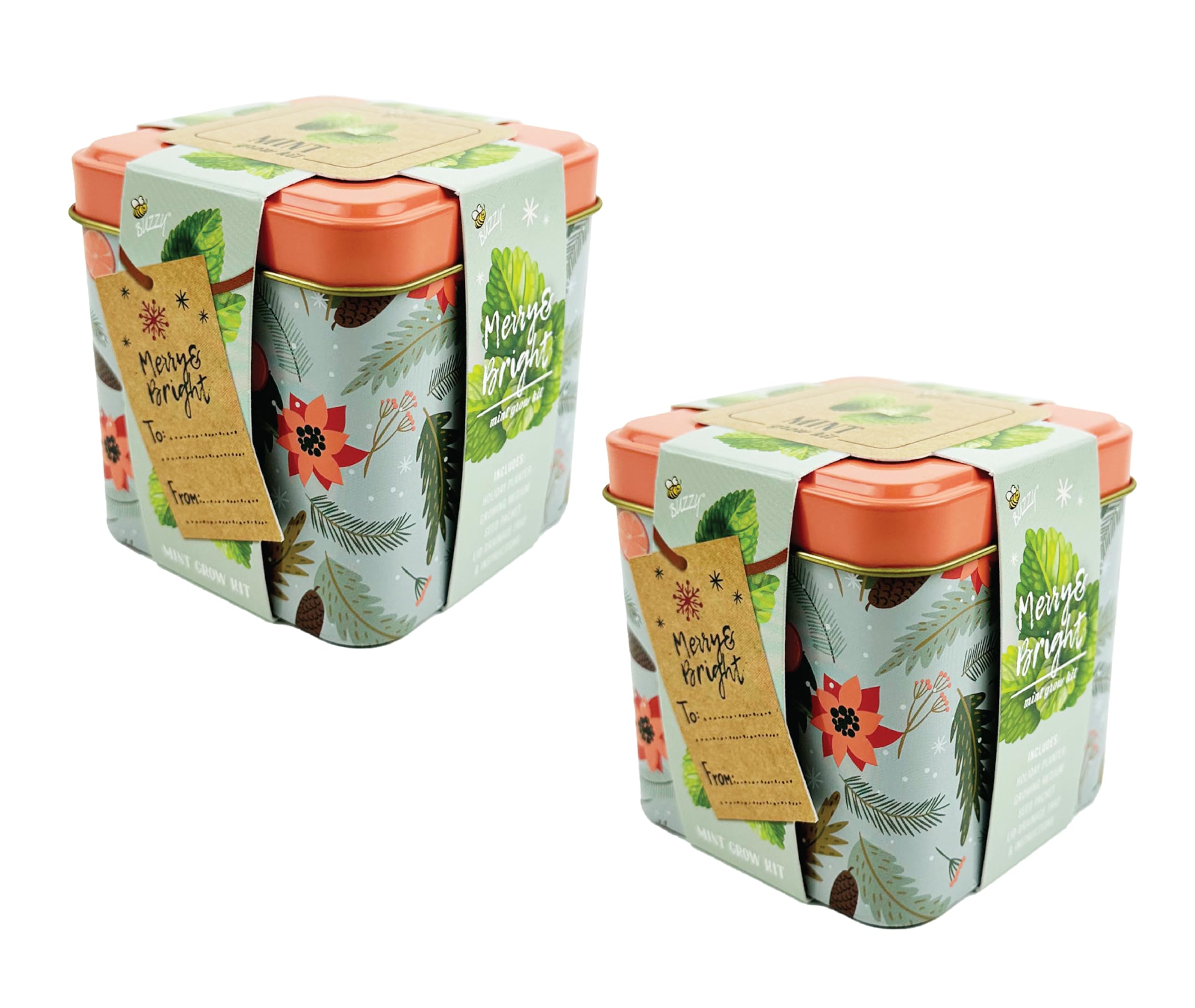 Amazon.com : BUZZY Seeds Holiday Mint Square Tin 2-Pack Grow Kit