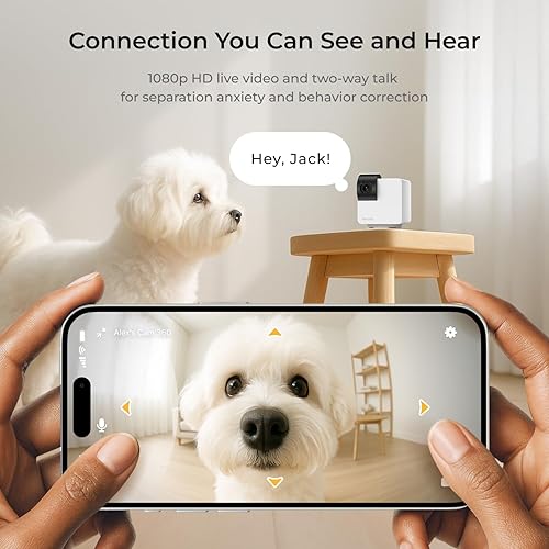 Miniatura 3 de Petcube Cam 360 El paquete de 2 cámaras | Cámara de seguridad para el hogar y mascotas con WiFi interactivo definitivo, panorámica/inclinación con