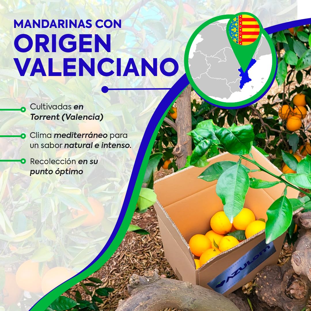 MANDARINAS FRESCAS DE VALENCIA DIRECTAS DEL ARBOL RECIEN RECOLECTADAS - DEL ARBOL A TU MESA SIN TRATAMIENTOS POST COSECHA - CAJAS DE 9, 15 Y 19 KG - FRUTA NATURAL VALENCIANA (9KG)