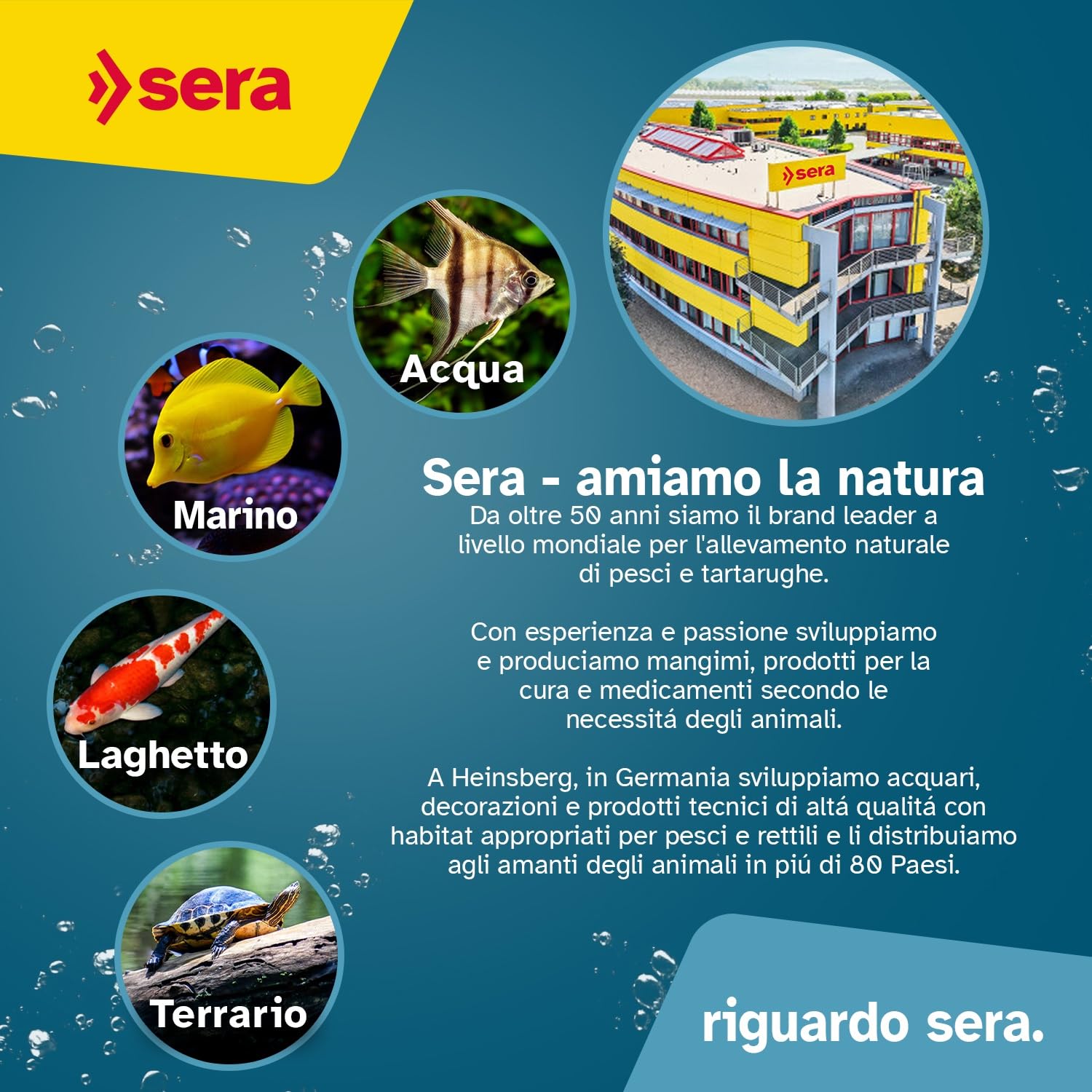 Sera GH Test 15ml | per aquario e laghetto | Misura Durezza Totale (Calcio & Magnesio) | Kit Analisi Acqua con Cuvetta, Siringa, Scheda di Valutazione | Precisione Fino a 420 °DGH per Pesci