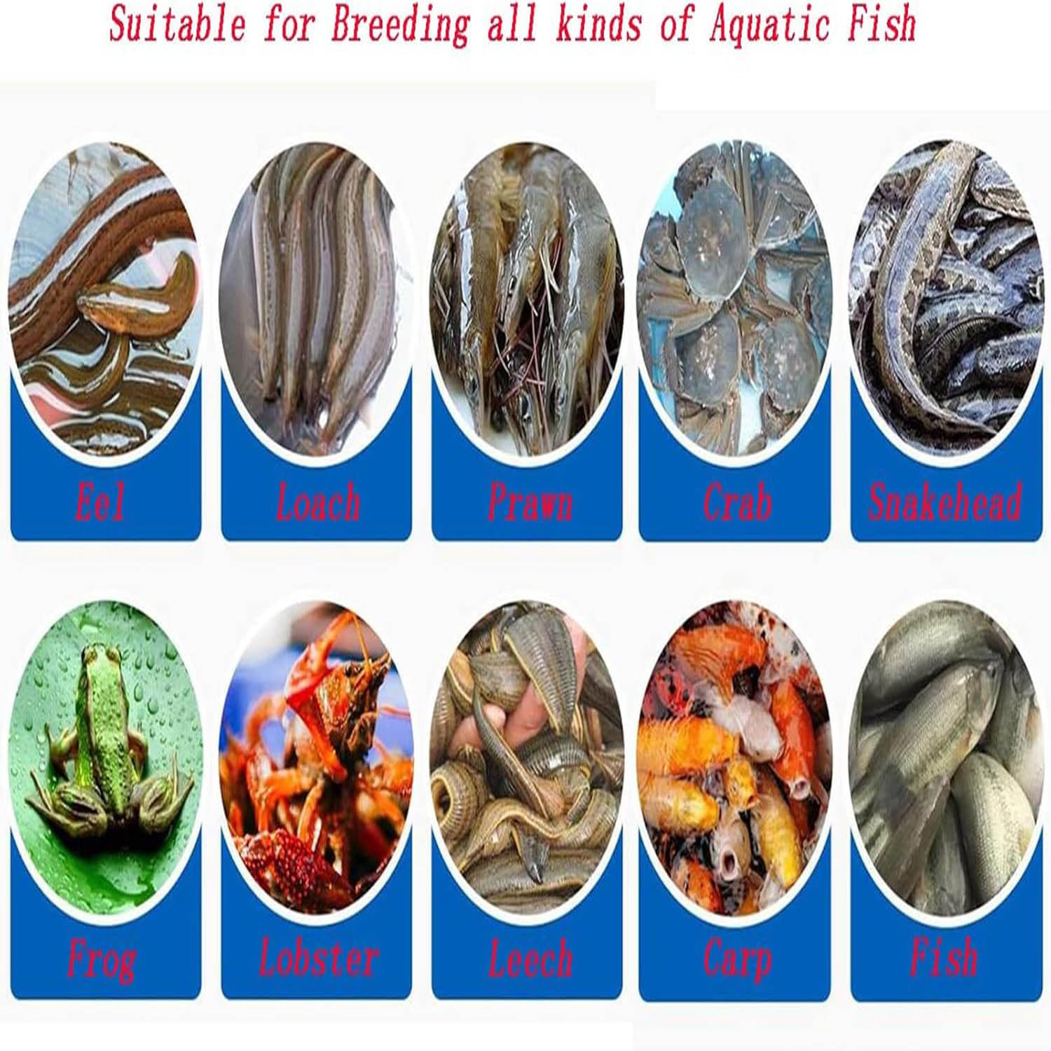 Laghetto pieghevole in tela di PVC con valvola di scarico, habitat acquatico portatile per pesci, koi e altri animali acquatici, facile da installare, resistente e leggero