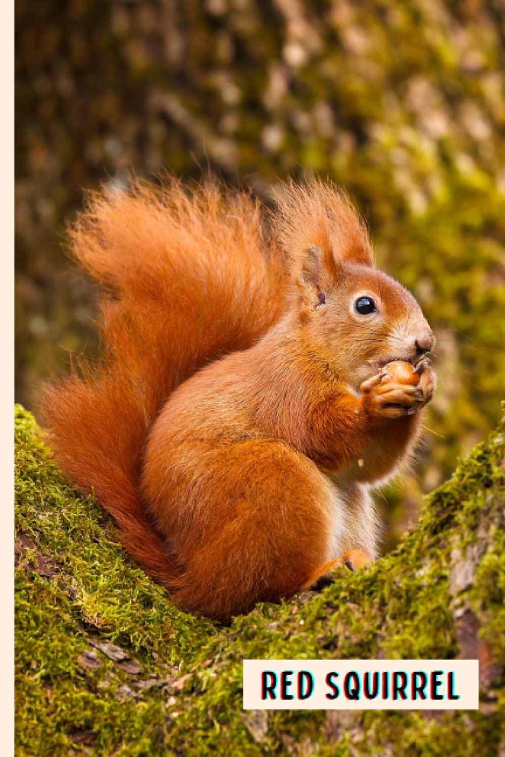 Red Squirrel: Composition Notebook For Red Squirrel Lovers , Red Squirrel Lined Journal ,6x9 Inches , 110 Pages ,Red Squirrel Diary