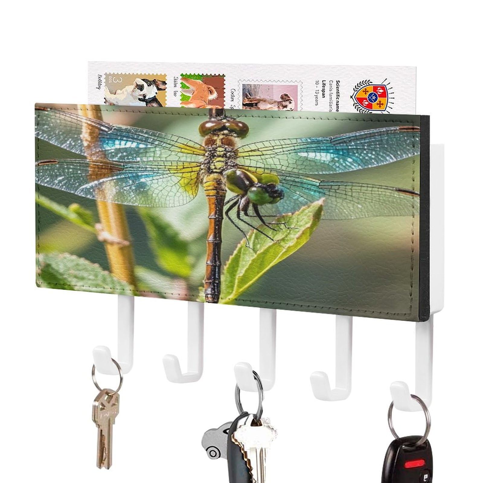 FekiLoot Colorful Dragonfly Key Holder Wall Mount Key and Mail Holder Key Hanger with 5 Hooks Decorative PU Key Rack Hanging Key Hooks for Wall Living Room Kitchen Bathroom Hallway White-Style