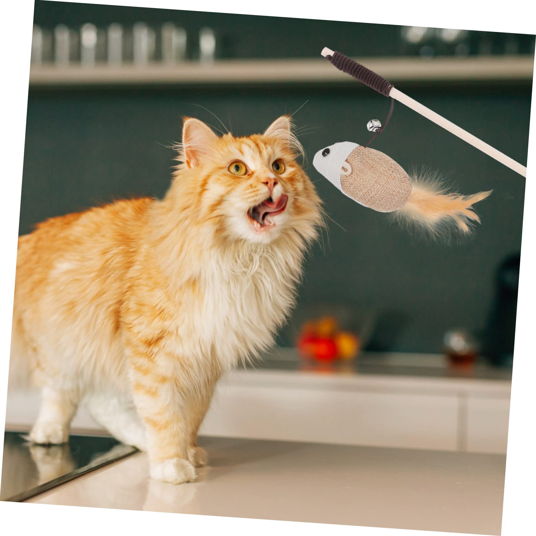 À Chat Interactive avec Jouet pour Et Engageant Parfait pour Et Renforcer Liens avec