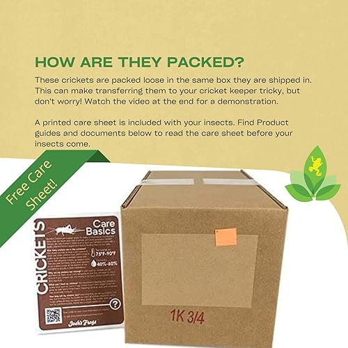 Miniatura 10 de Josh's Frogs Grillos con bandas de 34" (250 unidades)