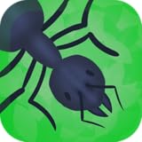 Ant Colony
