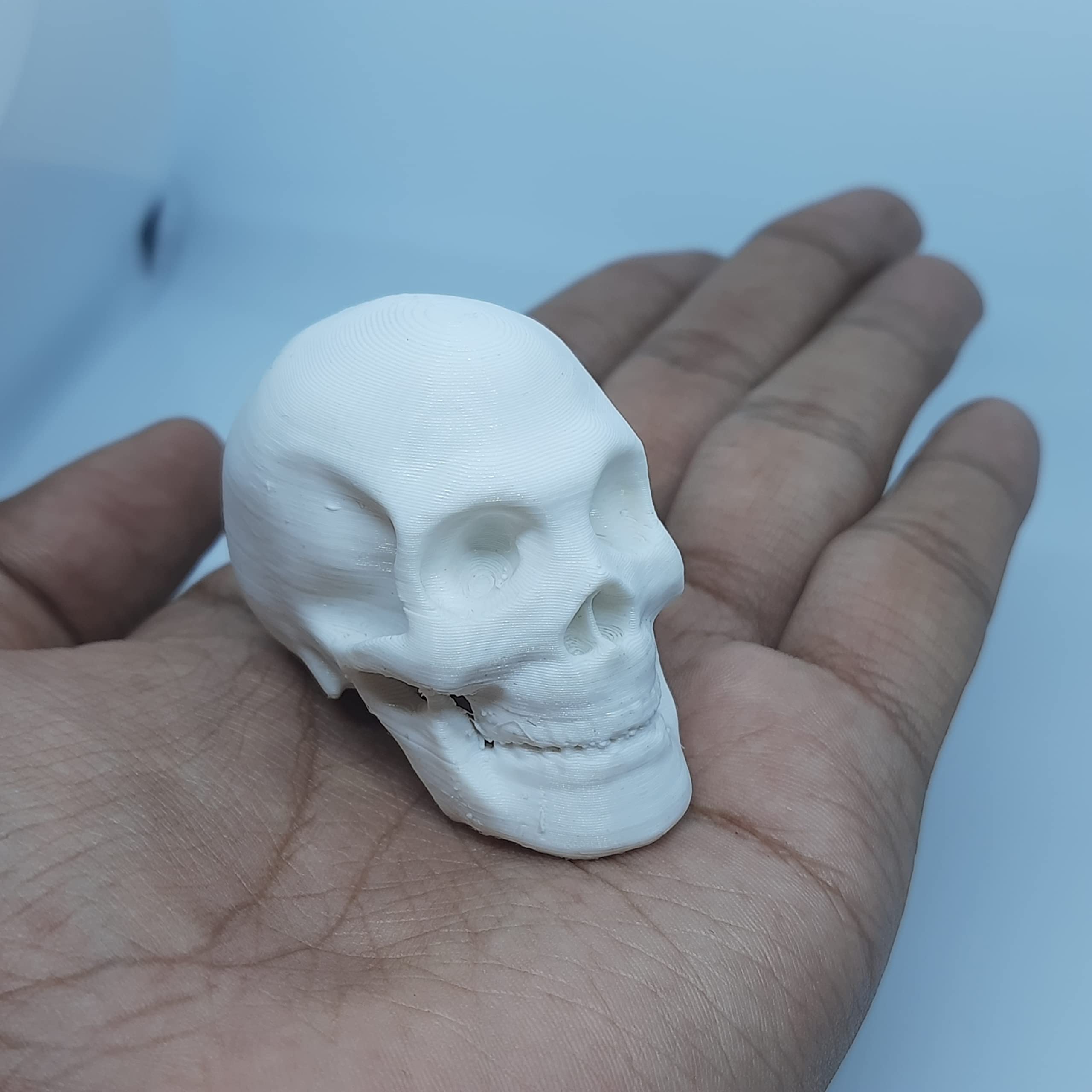 Human Skull Model (Medium (5.0cm * 8.2cm * 6.3cm)) (B09R82DBW6) Amazon Price History, Amazon Price Tracker