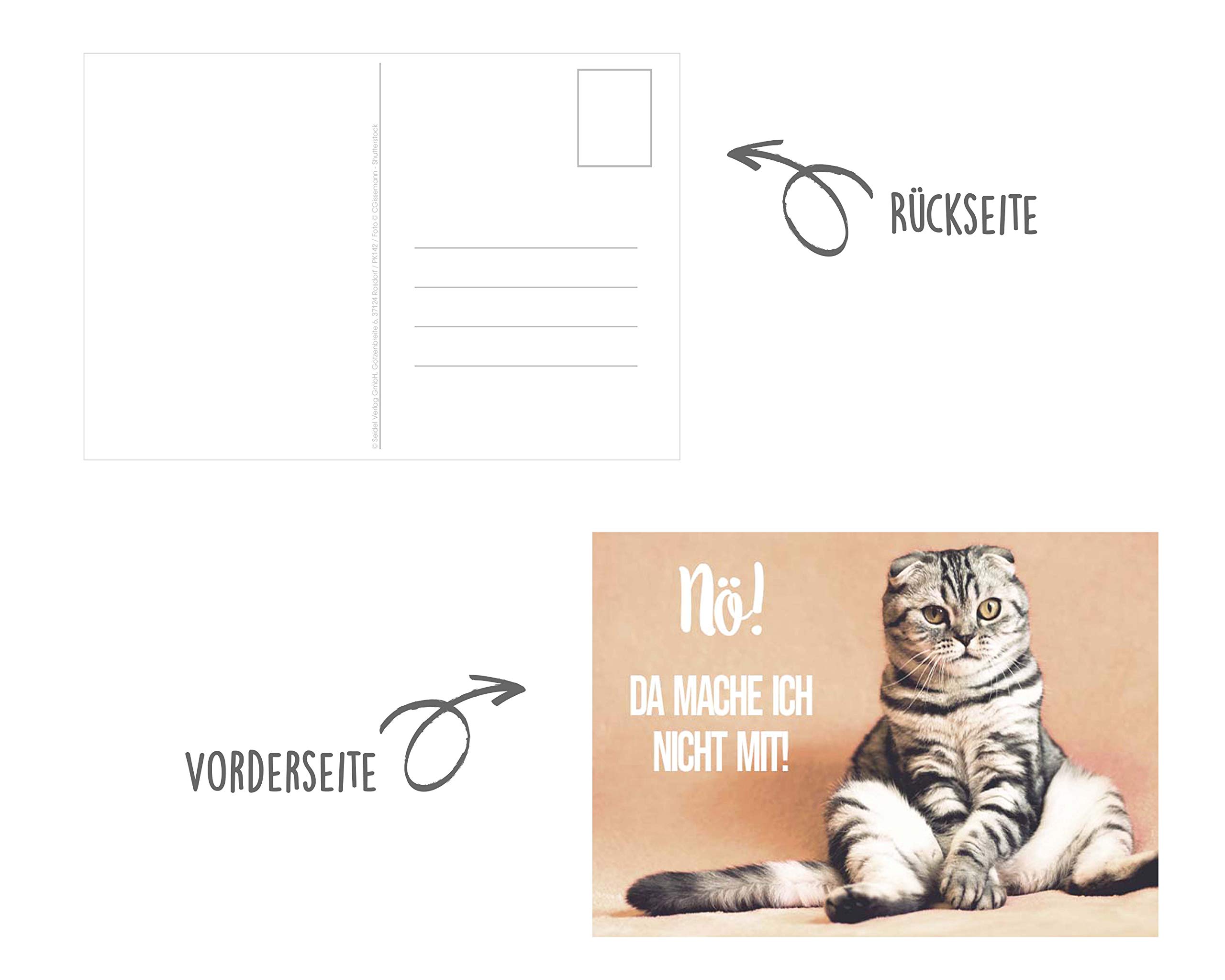 Cartoline Anni 1900 - 1950 Archivi - SUPER VINTAGE - Foto 13