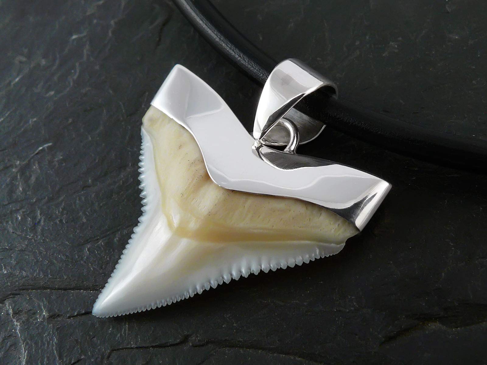 Fly Style Echt Hai Zahn Ketten Anhänger mit 925 Silber Fassung - Haifischzahn Kette