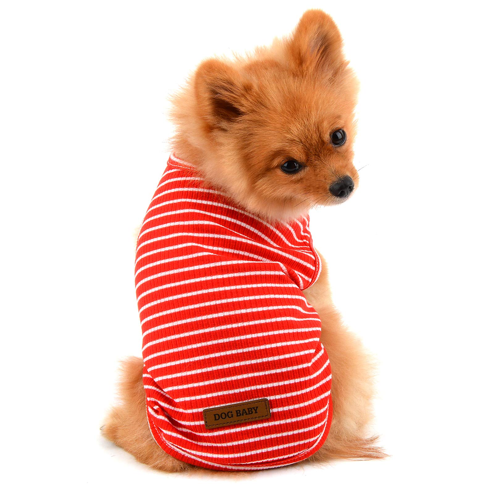 SMALLLEE_LUCKY_STORE Robe Harnais En Denim Pour Petit Chien - Jupe De  Princesse Avec Anneau En D Et Franges - Vêtements D'été Pour Animaux De  Compagnie Chihuahua, Yorkshire - Jaune, L, image size:1600x1600