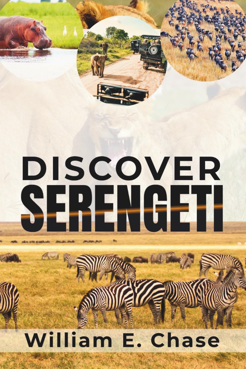 Discover Serengeti: Where to Stay, What to Pack, and How to See the Migration - Safari Planning Tips for Photographers, Families, & First-time Visitors