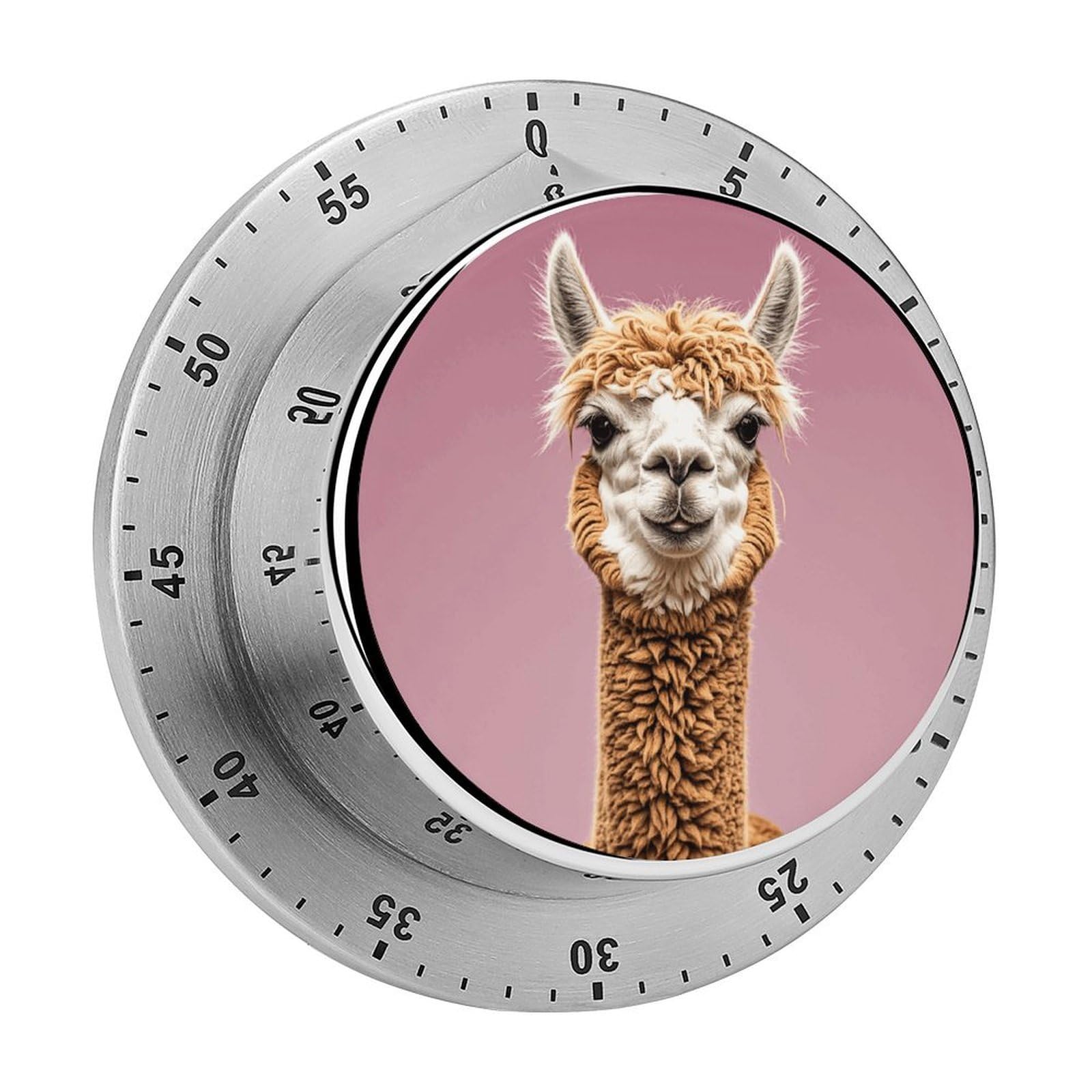 Alpaca Kitchen Timers Magnetic Back Manual Countdown Timers for Classroom Home Gym Tanning