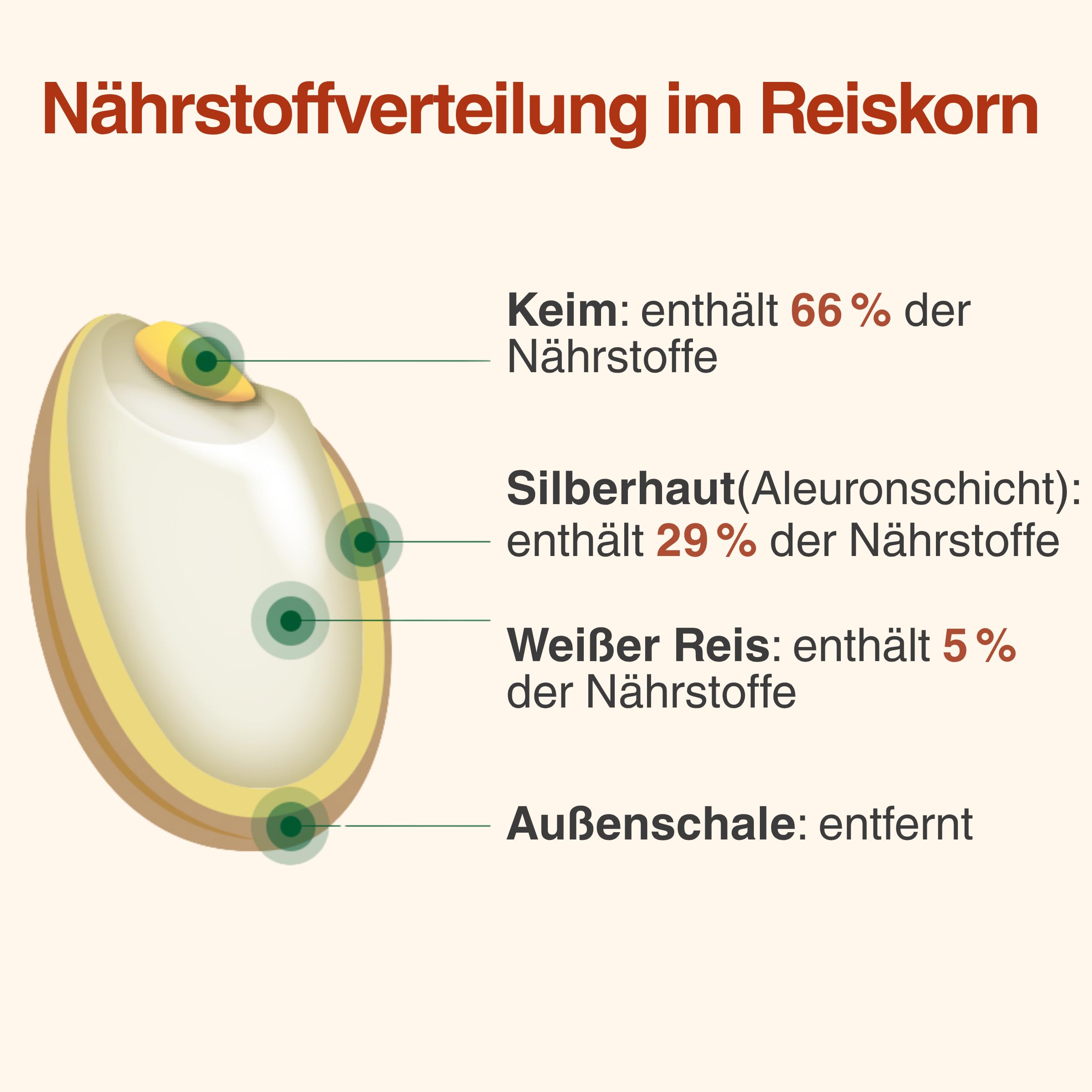 MIPUNG Premium Shindongjin Reis 4kg | Hochwertiger Koreanischer Reis | Glänzende, Feste Körner | Für Sushi, Bibimbap & Reisgerichte