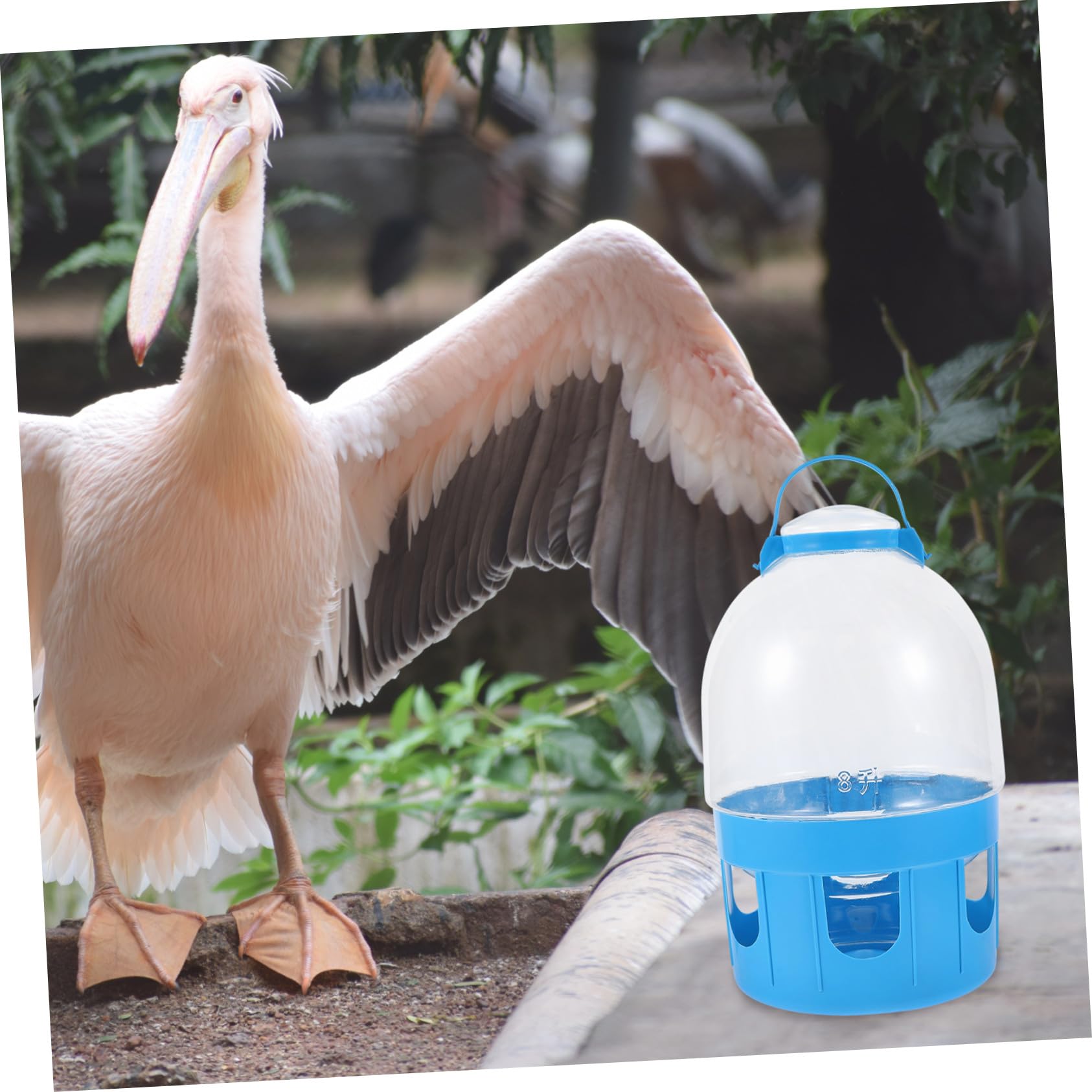 Wasserspender Zufällige Farbe aus PVC Tauben mit Großer Kapazität Abnehmbar und Einfach zu Bedienen für Vogeltränke und Heimdekoration