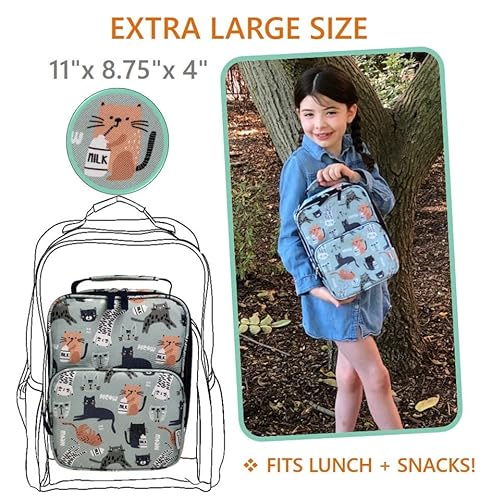 Kinsho Cat Lunch Box With Ice Pack For Girls Women Cute Insulated Bag For Tween, High School Girl, Container Boxes For Big Kid Snacks Lunches, Bpa Free, Fits Bento, Green Grey Modern Cats #TOP4