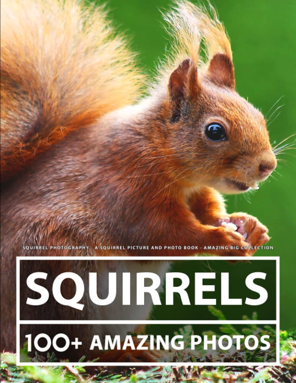 Squirrel Photography - A Squirrel Picture and Photo Book - Amazing Big Collection: 100+ Amazing Pictures of Squirrels in this Beautiful Squirrel photo book
