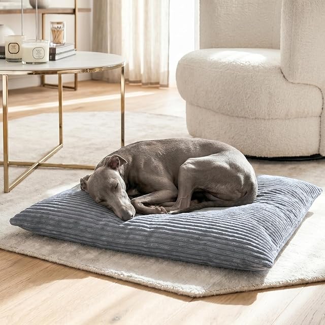Foto 3 de 8 de 4L Textil ZOE Cojín para Perros, Mullido, de Pana para Perros, con Funda y Cremallera