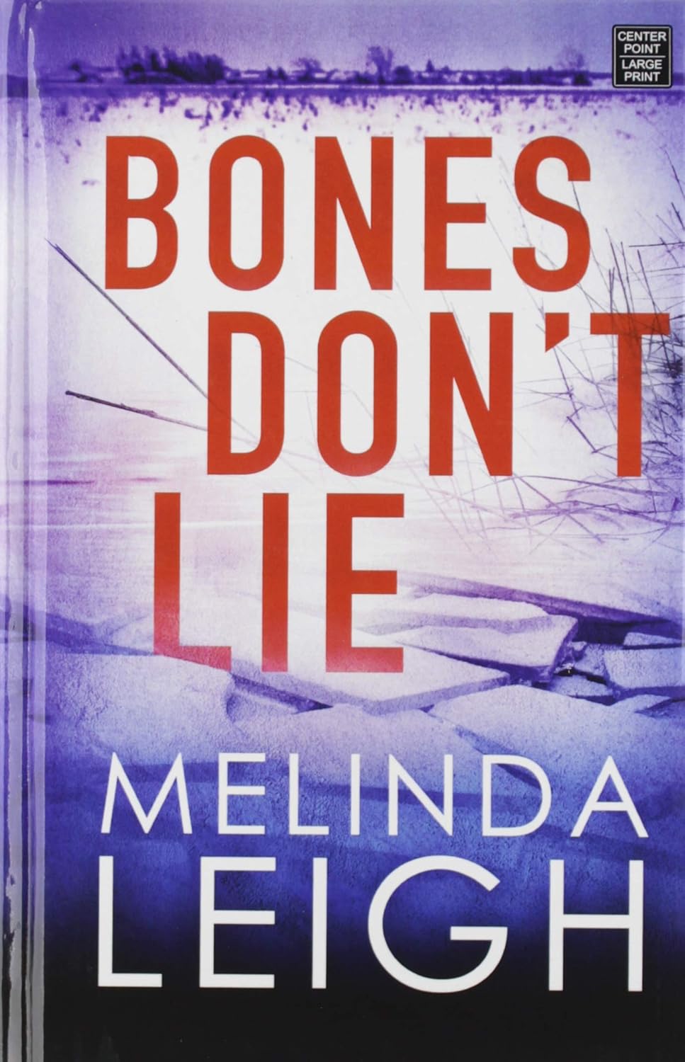 Bones Don't Lie (Center Point Large Print) Leigh, Melinda