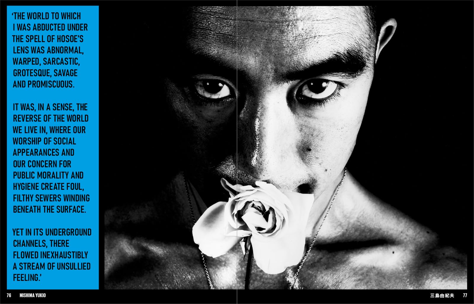 Japan Art Revolution: The Japanese Avant-Garde, from Angura to Provoke