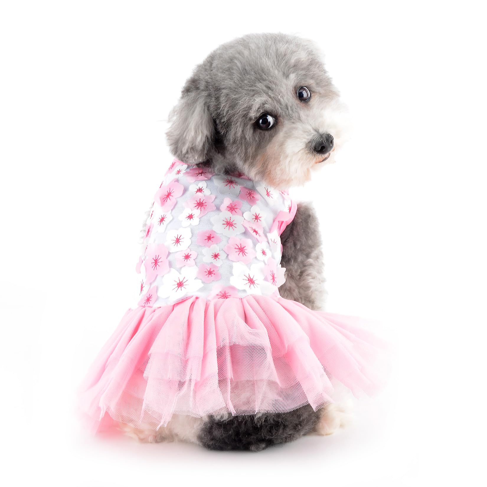 Vestito San Valentino Per Cani - Abito Principessa Con Fiori Per Cuccioli - Foto 6