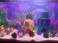 Review Image by K.P K.P