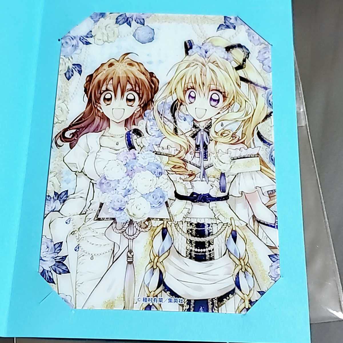 種村有菜　トレーディングウエディングカード　イオン　ジャンヌ　りぼん展 Amazon.co.jp: ジャンヌ まろん トレーディングウエディングカード