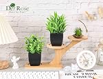 Der Rose 2 Pack Fake Plants Small Artificial Potted Plants Faux Plants Black Bathroom Accessories for Home Office Desk Bathroom Decor Indoor