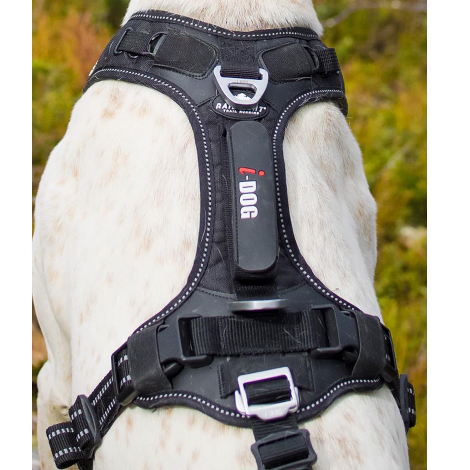 Harnais RAIDLIGHT I-DOG canicross, canirando, canitrail, canijogging, Noir (XS)