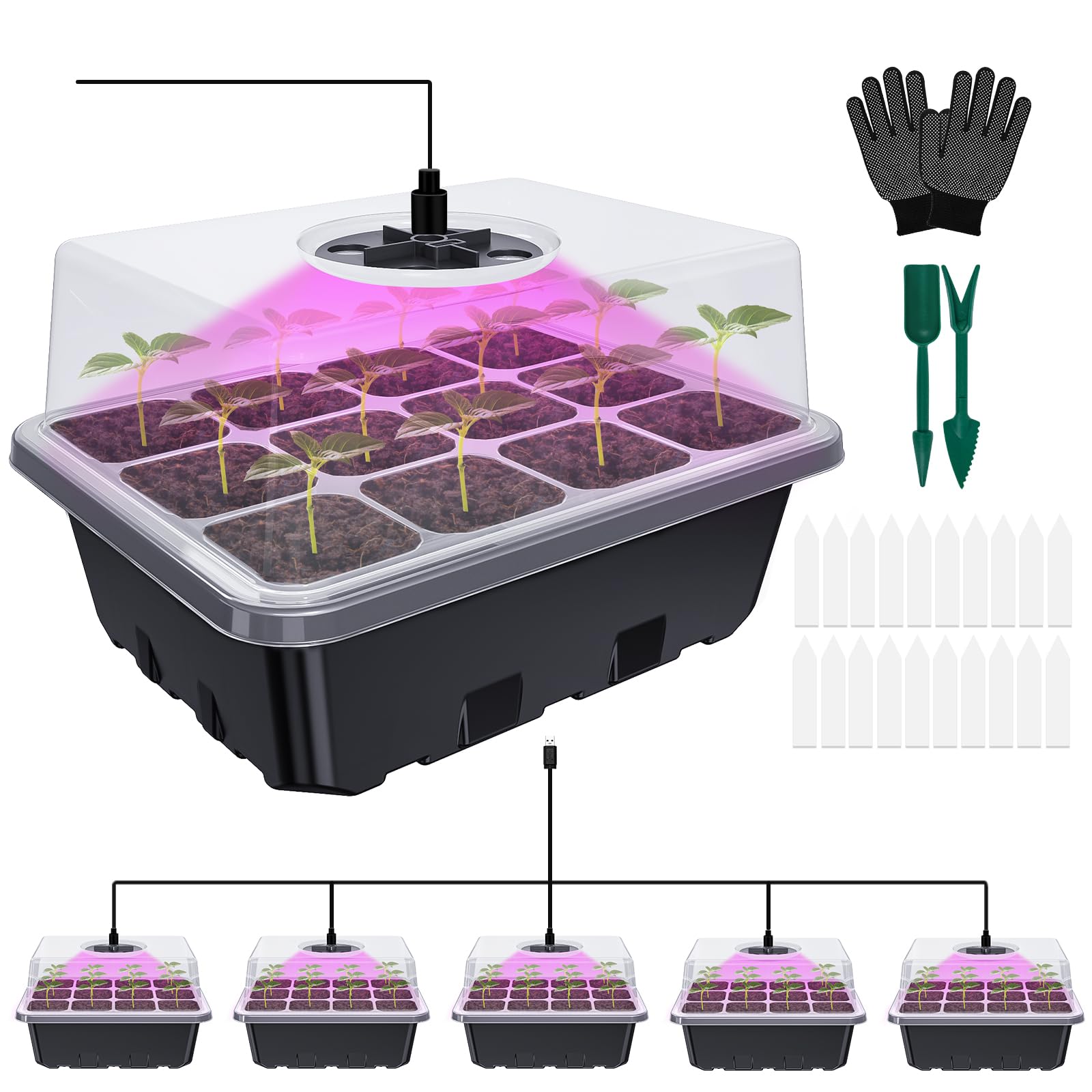 Vassoio Germogliante, 5 Pezzi Lampada Di Crescita per Promuovere La Crescita Delle Piante, Un Kit Di Propagazione Di Semi Serra Completamente Attrezzato