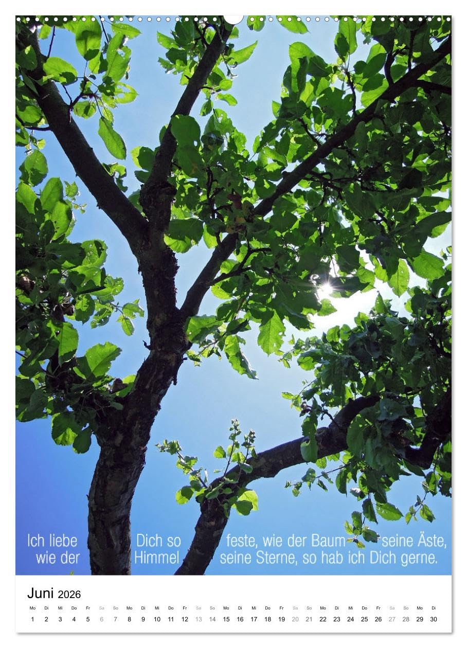 Licht Farbe Natur (hochwertiger Premium Wandkalender 2026 DIN A2 hoch), Kunstdruck in Hochglanz: Poetischer Kalender für lichte Momente (CALVENDO Natur)
