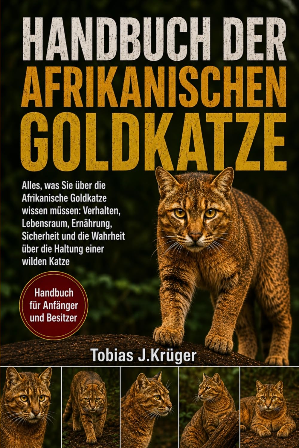 HANDBUCH DER AFRIKANISCHEN GOLDKATZE: Alles, was Sie über die Afrikanische Goldkatze wissen müssen: Verhalten, Lebensraum, Ernährung, Sicherheit und die Wahrheit über die Haltung einer wilden Katze