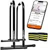 Lebert Fitness Dip Bar Stand - Original Equalizer Total Body Strengthener Pull Up Bar Home Gym Exercise Equipment Dipping Station - Hip Resistance Band, Workout Guide and Online Group