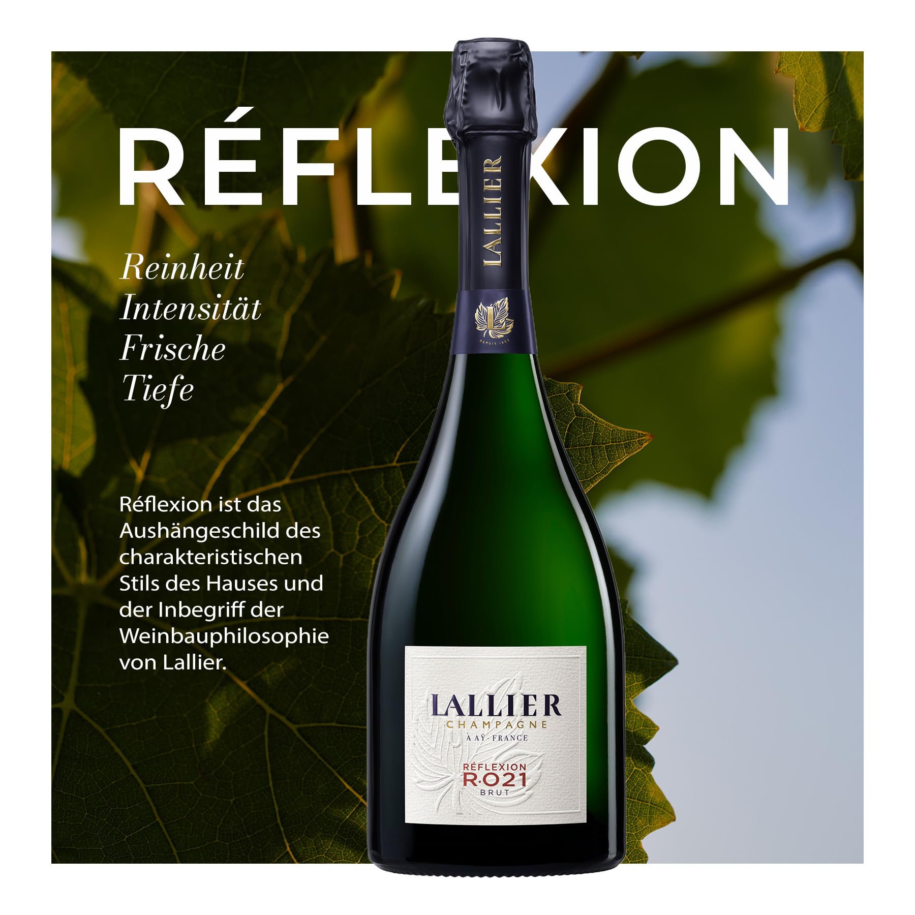 Amazon.co.jp: ラリエ R.020 750ml [ブリュット NV シャンパン Amazon.co.jp: ラリエ R.020 750ml [ブリュット NV シャンパン
