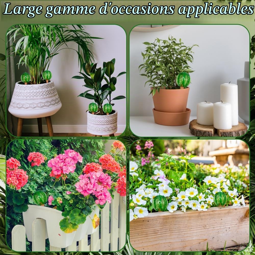 4 Pièce Arroseur Plante intérieur, Arroseur Automatique Plante intérieur | A Forma di Anguria, per lirrigazione Delle piante adatta a vari vasi (1 Pièce/500 ML)