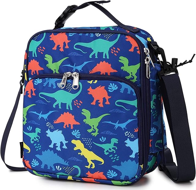 RAVUO Lunch Bag Box for Boys, Reusable Insulated Kids Lunch Box Toddler Lunch Cooler for Girls with Detachable Shoulder Strap Dinosaur