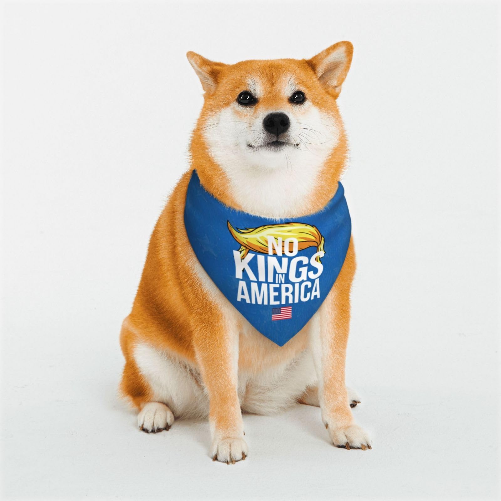 No King in America Dog Bandanas Birthday Party Supplies Dog Birthday Bandana Dogs Boy Girl Birthday Party Bandanas