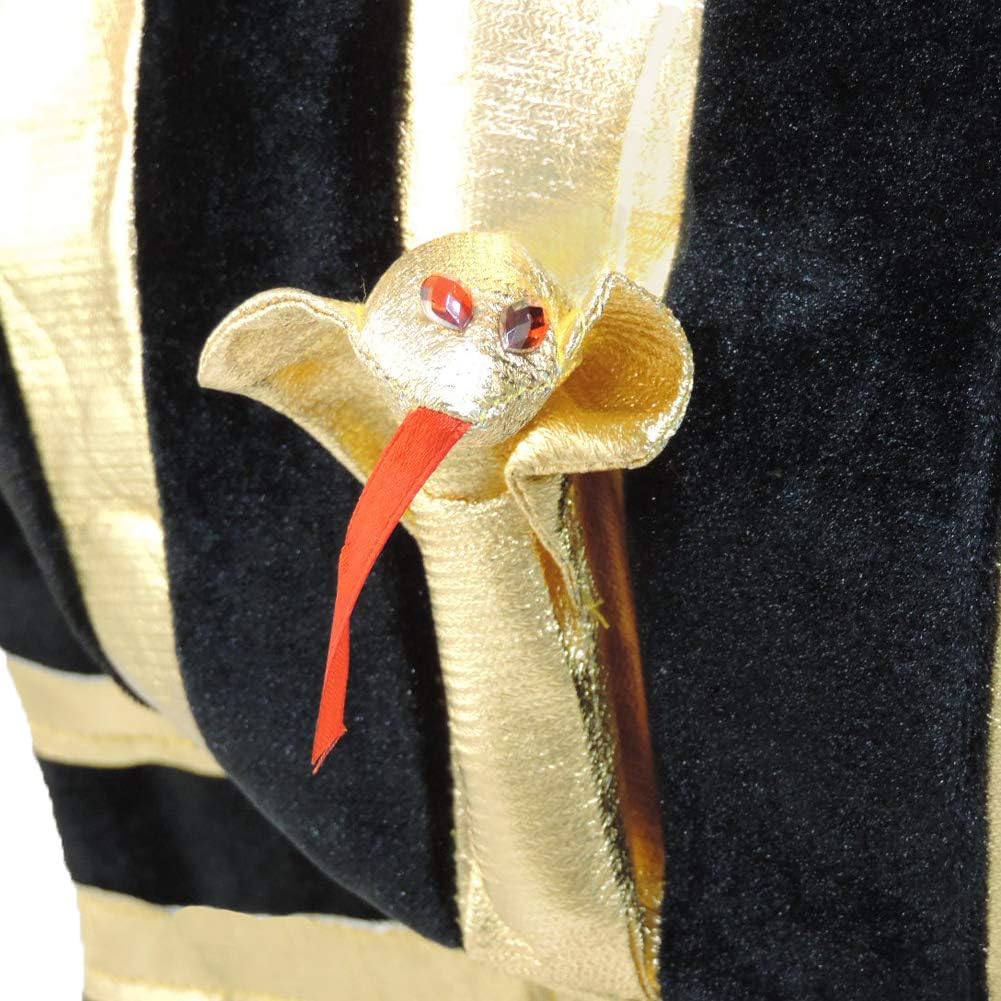 Star Power Gold Lamé Egyptian Pharaoh King TUT Costume Headdress : Clothing, Shoes & Jewelry
