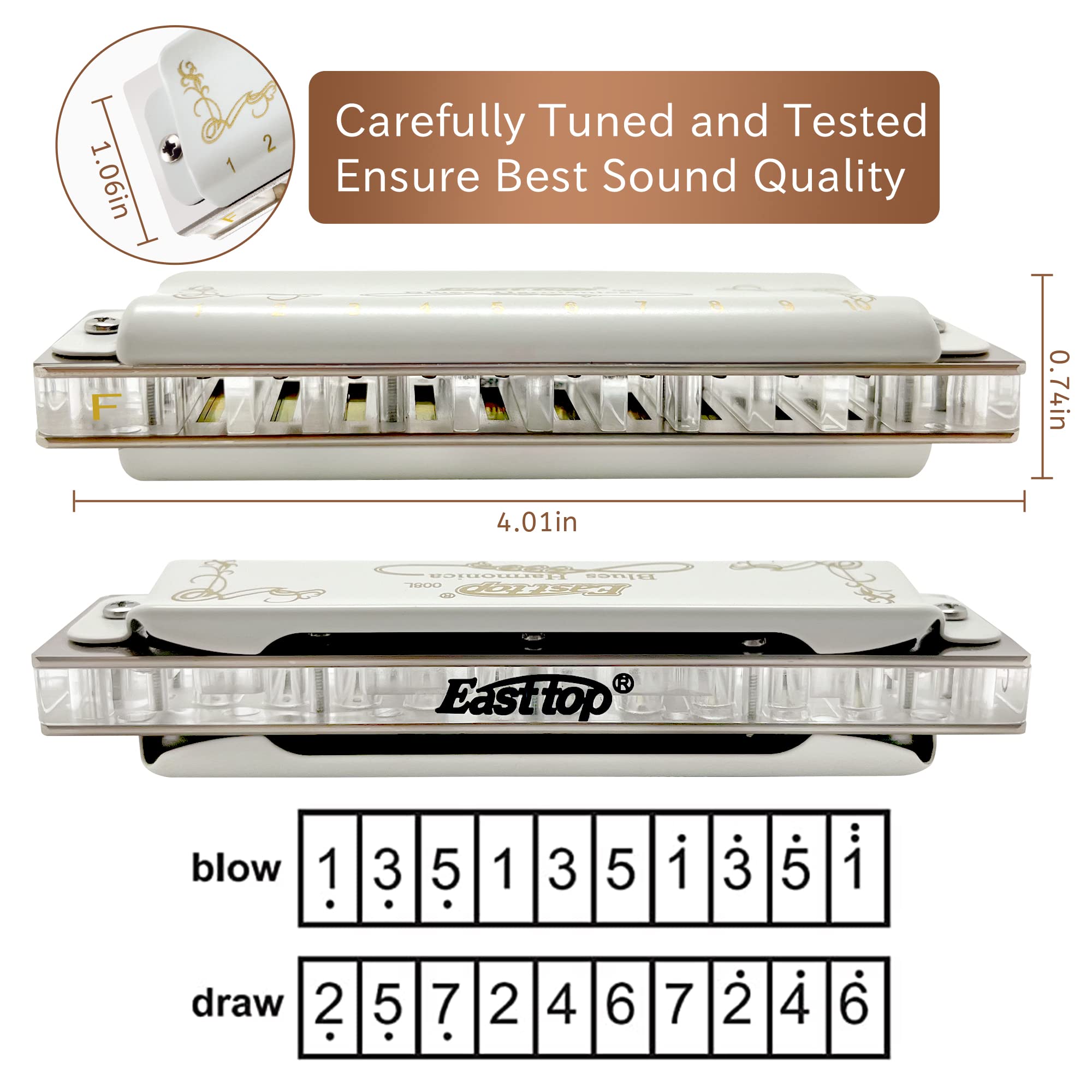 East Top 10 Hole 20 Tone Diatonic Blues Armónica Tecla de F con cubierta blanca T008L Armónica para adultos, jugadores profesionales y estudiantes