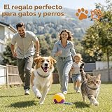 Ver la foto 8