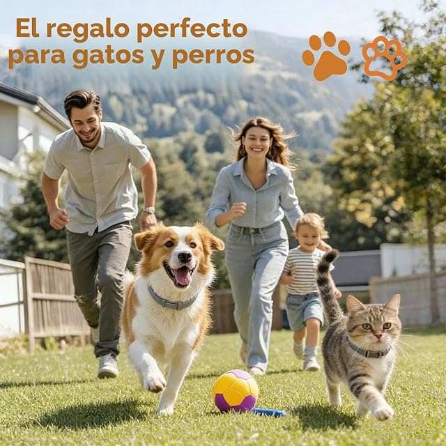 Foto 8 de 8 de Collar antiparasitario Perros,Collar Antiparasitario Gatos 63cm Ajustable Impermeable,Sirve 8 Meses…