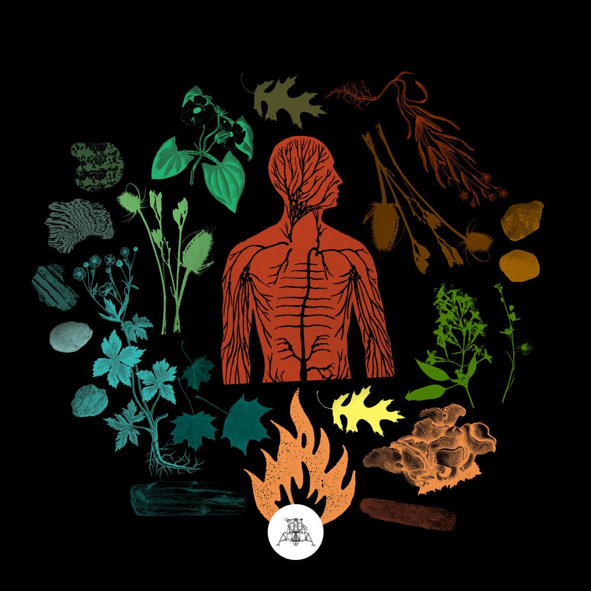 CAMP OF WOLVES - Bear Creek - CD